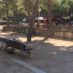 British and homeless in Barcelona